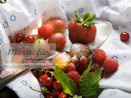 Assortiments de fruits et une cuillerée de sucre