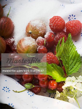 Assorted berries with sugar