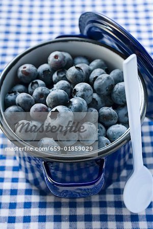 Fresh blueberries in blue pan Fresh blueberries in blue pan