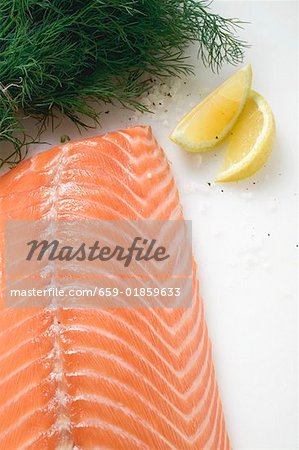 Salmon fillet, dill and lemon wedges (overhead view)