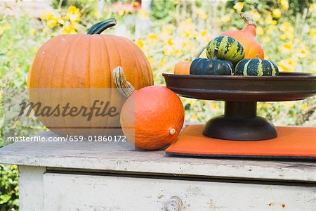 Assorted squashes and pumpkins on garden table (outdoors)