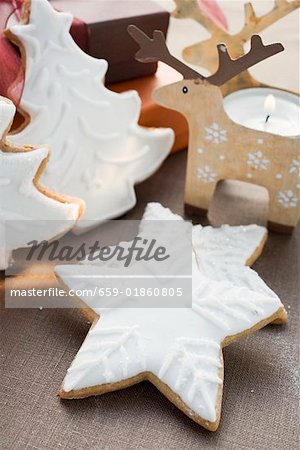 Assorted gingerbread biscuits with white icing