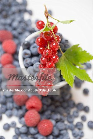 Blueberries, raspberries, redcurrants, some in bowl