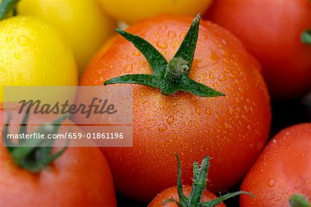 Différents types de tomates avec des gouttes d'eau (gros plan)