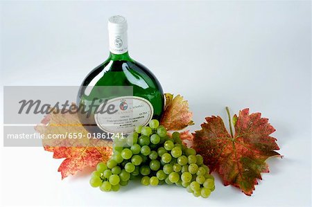Bouteille de raisin blanc vin, vert, variété Silvaner, feuilles