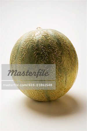 Galia-Melone