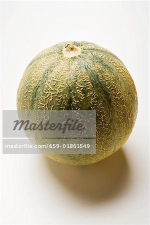 Galia-Melone