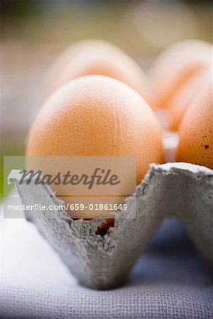 Braune Eier in einem Ei