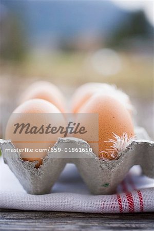 Brown eggs with feathers in egg box on tea towel