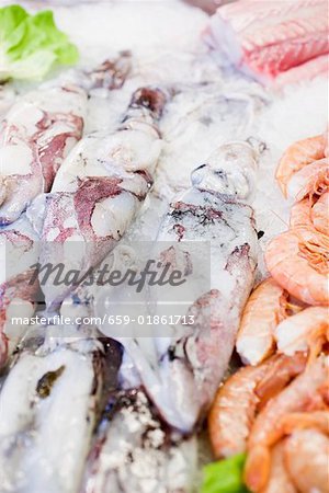 Cuttlefish and shrimps on ice