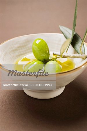 Green olives on twig in bowl of olive oil