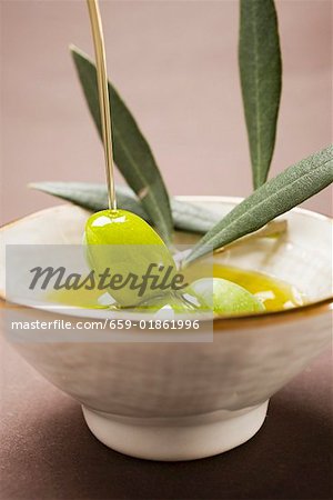 Pouring olive oil over olive sprig with green olives