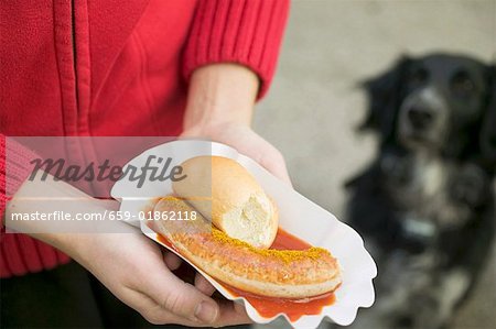 Hände halten Bratwurst mit Ketchup & Currypulver in Papier-Teller, Hund