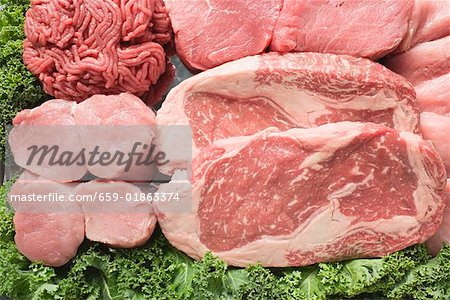 Verschiedene Arten von Fleisch umgeben von Petersilie