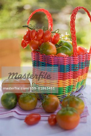 Various types of tomatoes in shopping bag (out of doors)