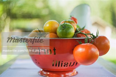 Différents types de tomates dans une passoire sur la table à l'extérieur