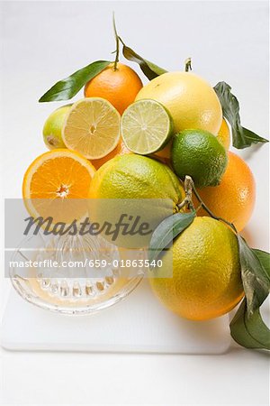 Verschiedene Zitrusfrüchte mit Zitrus Saftpresse