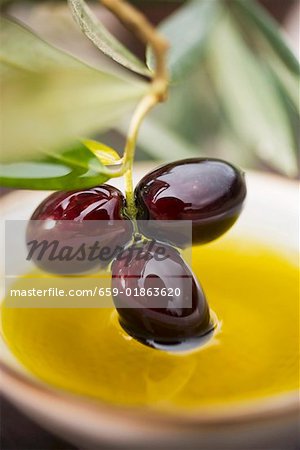 Dipping olive sprig with black olives in olive oil