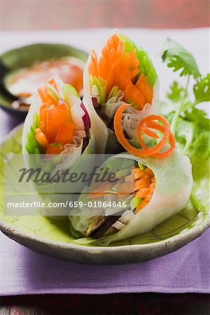 Vietnamese spring rolls with vegetable filling Vietnamese spring rolls with vegetable filling