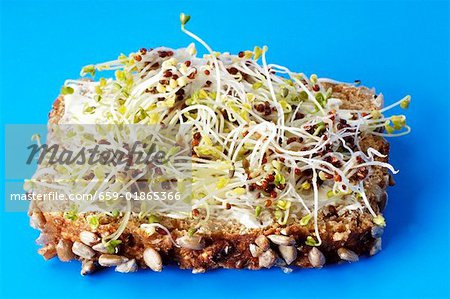 Sprouts on buttered whole-grain bread