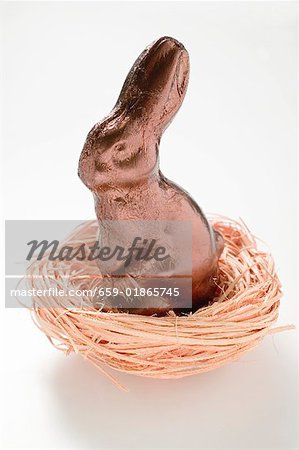 Easter Bunny in foil in nest Easter Bunny in foil in nest