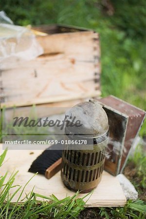 Beekeeping equipment and beehive