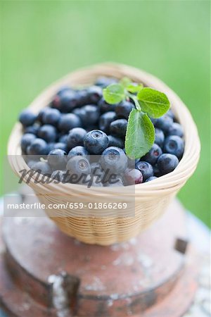 Blueberries with leaves in basket