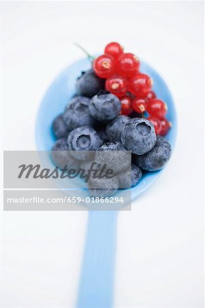 Blueberries and redcurrants on blue spoon