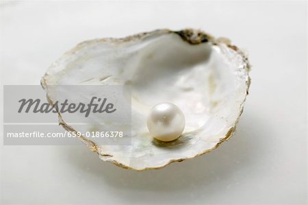 Pearl in oyster shell