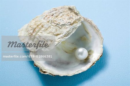 Pearl in oyster shell