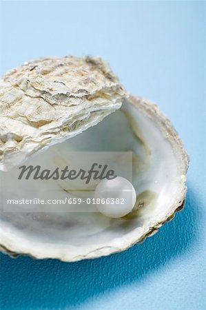 Pearl in oyster shell