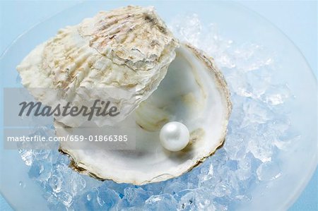 Pearl in oyster shell on crushed ice