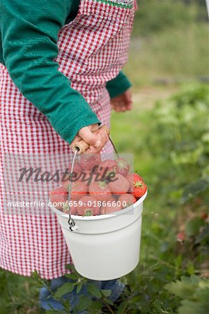 Child holding bucket of strawberries in garden