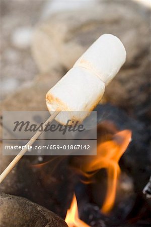 Marshmallows on stick over camp- fire