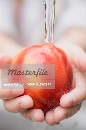 Nectarine sous l'eau courante de mains de l'enfant