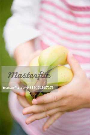 Child's hands holding bunch of bananas