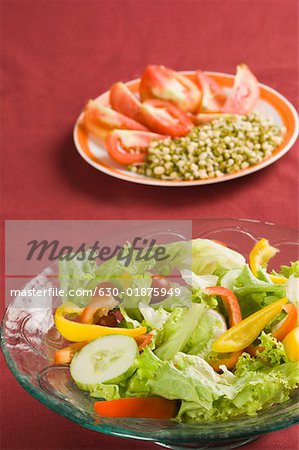 Close-up of two plates of salad and bean sprout with tomato slices