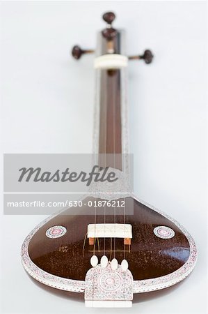 Close-up of a sitar