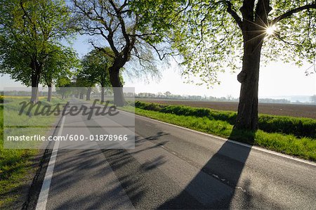 Route de campagne, Mecklembourg-Poméranie occidentale, Allemagne