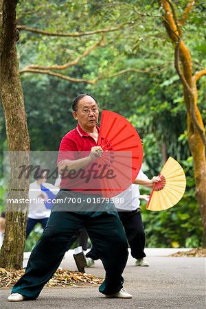 Homme pratiquant des jardins botaniques de Tai-Chi, Singapour, Singapour