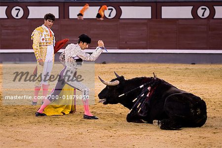 Bullfighting, Plaza de Toros de las Ventas, Madrid, Spain