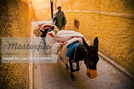 Man with Donkeys in the Medina of Fez, Morocco