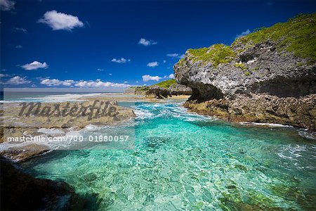 Namakulu Meer Track, Niue Island, Süd-Pazifik