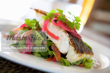 Barramuni Fish and Salad