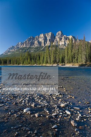 River, Forest and Mountains, Banff National Park, Alberta, Canada