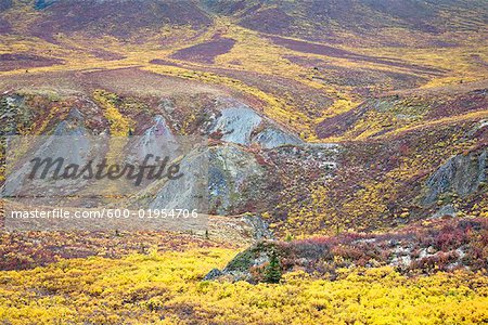 Toundra alpine à l'automne, Parc Territorial de Tombstone, Yukon, Canada