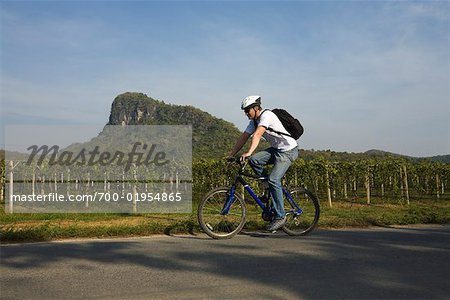 Homme vélo ancien vignoble, Thaïlande