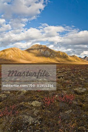 Mountains and Plains, Tombstone Territorial Park, Yukon, Canada