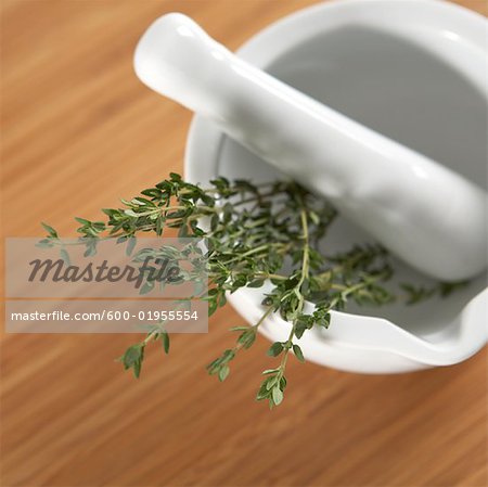 Thyme in Mortar and Pestle