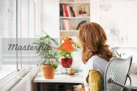 Femme arroser la plante en pot